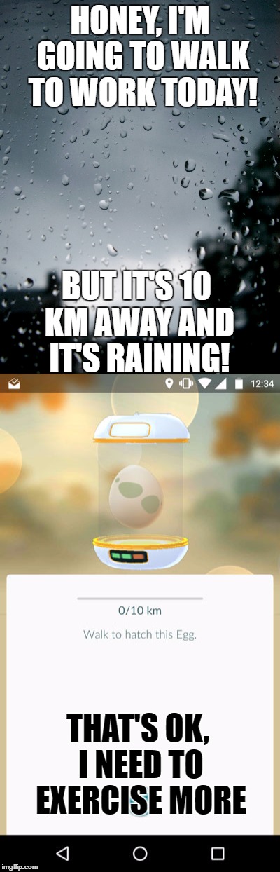 Hatching Pokemon eggs... | HONEY, I'M GOING TO WALK TO WORK TODAY! BUT IT'S 10 KM AWAY AND IT'S RAINING! THAT'S OK, I NEED TO EXERCISE MORE | image tagged in pokemon go,pokeballs,eggs,charizard | made w/ Imgflip meme maker