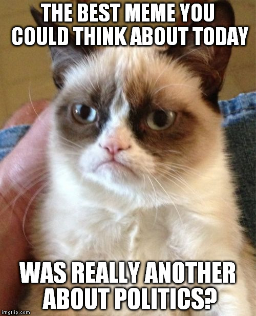 As many as stars in the sky <3 | THE BEST MEME YOU COULD THINK ABOUT TODAY; WAS REALLY ANOTHER ABOUT POLITICS? | image tagged in memes,grumpy cat | made w/ Imgflip meme maker