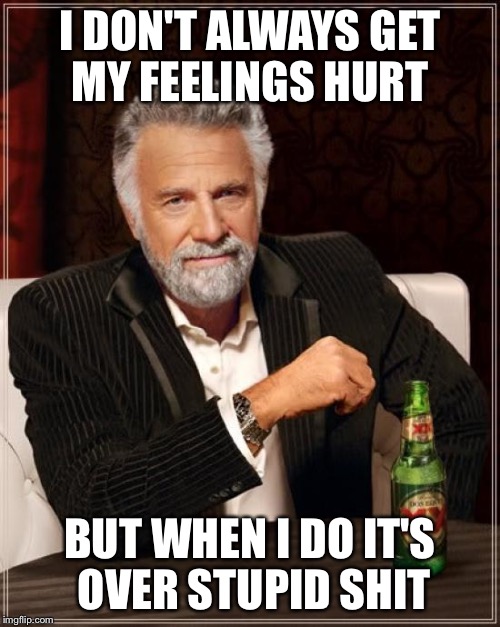 The Most Interesting Man In The World | I DON'T ALWAYS GET MY FEELINGS HURT; BUT WHEN I DO IT'S OVER STUPID SHIT | image tagged in memes,the most interesting man in the world | made w/ Imgflip meme maker