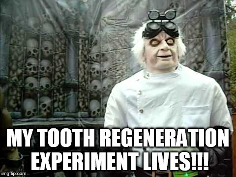 MY TOOTH REGENERATION EXPERIMENT LIVES!!! | made w/ Imgflip meme maker