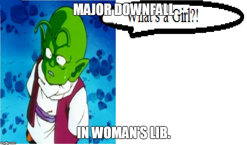 Dende Insulting People | MAJOR DOWNFALL; IN WOMAN'S LIB. | image tagged in dbz,dende,woman's lib,girl | made w/ Imgflip meme maker