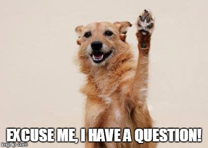 EXCUSE ME, I HAVE A QUESTION! | image tagged in dog_raising_paw | made w/ Imgflip meme maker