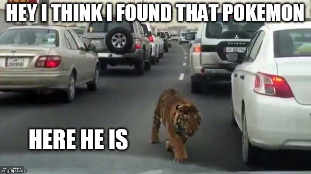 pokemon go funny pic | HEY I THINK I FOUND THAT POKEMON; HERE HE IS | image tagged in pokemon go | made w/ Imgflip meme maker