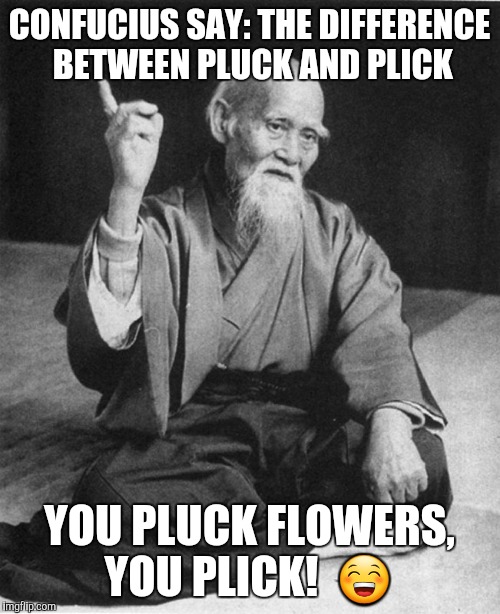 Confucius say | CONFUCIUS SAY: THE DIFFERENCE BETWEEN PLUCK AND PLICK; YOU PLUCK FLOWERS, YOU PLICK!  😁 | image tagged in confucius say | made w/ Imgflip meme maker