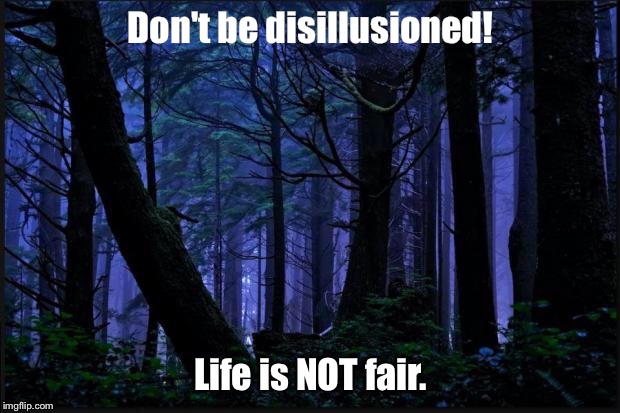 Dark forest | Don't be disillusioned! Life is NOT fair. | image tagged in dark forest | made w/ Imgflip meme maker