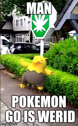Pokemon GO is werid | MAN; POKEMON GO IS WERID | image tagged in memes,funny | made w/ Imgflip meme maker