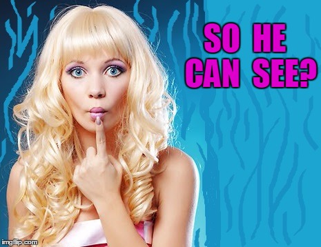 ditzy blonde | SO  HE  CAN  SEE? | image tagged in ditzy blonde | made w/ Imgflip meme maker