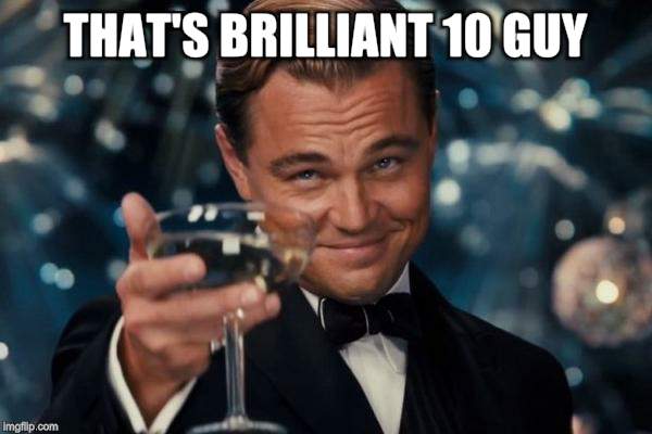Leonardo Dicaprio Cheers Meme | THAT'S BRILLIANT 10 GUY | image tagged in memes,leonardo dicaprio cheers | made w/ Imgflip meme maker