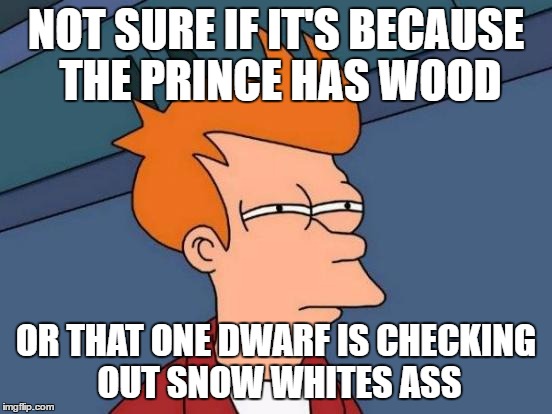Futurama Fry Meme | NOT SURE IF IT'S BECAUSE THE PRINCE HAS WOOD OR THAT ONE DWARF IS CHECKING OUT SNOW WHITES ASS | image tagged in memes,futurama fry | made w/ Imgflip meme maker