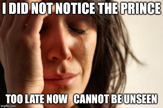 First World Problems Meme | I DID NOT NOTICE THE PRINCE TOO LATE NOW   CANNOT BE UNSEEN | image tagged in memes,first world problems | made w/ Imgflip meme maker
