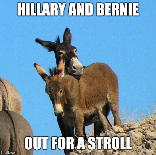 HILLARY AND BERNIE; OUT FOR A STROLL | image tagged in memes,crookedhillary,bernie or hillary,democrats | made w/ Imgflip meme maker