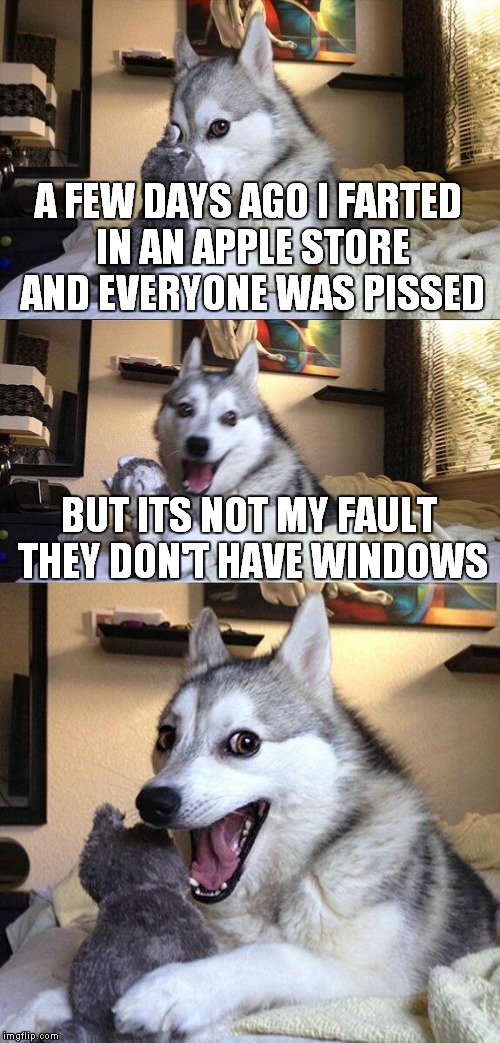 I heard this pun on the internet a while back | A FEW DAYS AGO I FARTED IN AN APPLE STORE AND EVERYONE WAS PISSED; BUT ITS NOT MY FAULT THEY DON'T HAVE WINDOWS | image tagged in memes,bad pun dog | made w/ Imgflip meme maker