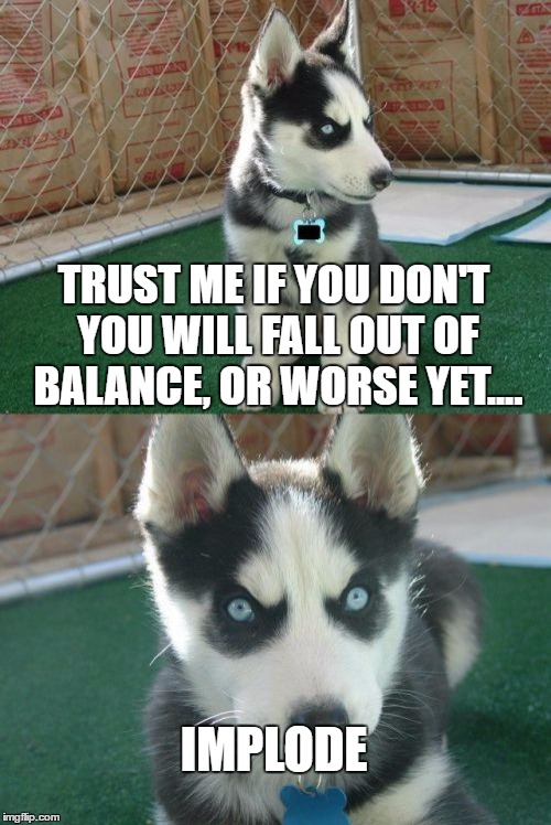 The Real Wolf of Wall Street | TRUST ME IF YOU DON'T YOU WILL FALL OUT OF BALANCE, OR WORSE YET.... IMPLODE | image tagged in memes,insanity puppy | made w/ Imgflip meme maker