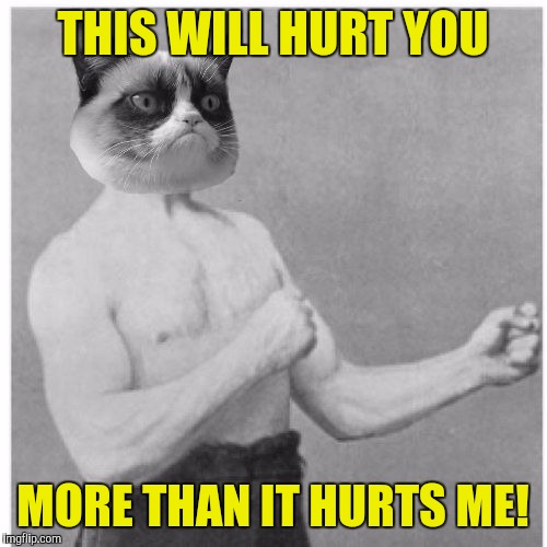 Overly Grumpy Cat Imgflip