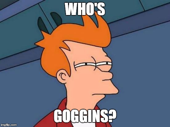 Futurama Fry Meme | WHO'S GOGGINS? | image tagged in memes,futurama fry | made w/ Imgflip meme maker