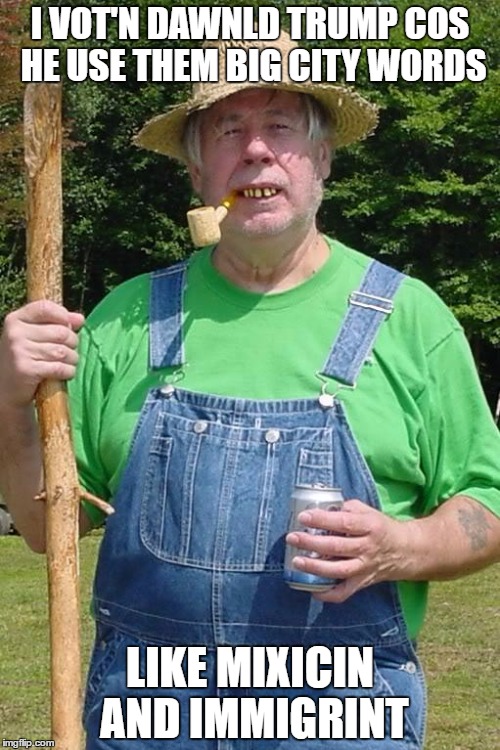 hillbilly | I VOT'N DAWNLD TRUMP COS HE USE THEM BIG CITY WORDS; LIKE MIXICIN AND IMMIGRINT | image tagged in hillbilly | made w/ Imgflip meme maker