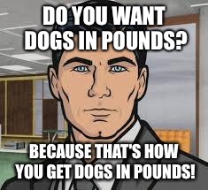 Do you want ants archer | DO YOU WANT DOGS IN POUNDS? BECAUSE THAT'S HOW YOU GET DOGS IN POUNDS! | image tagged in do you want ants archer | made w/ Imgflip meme maker