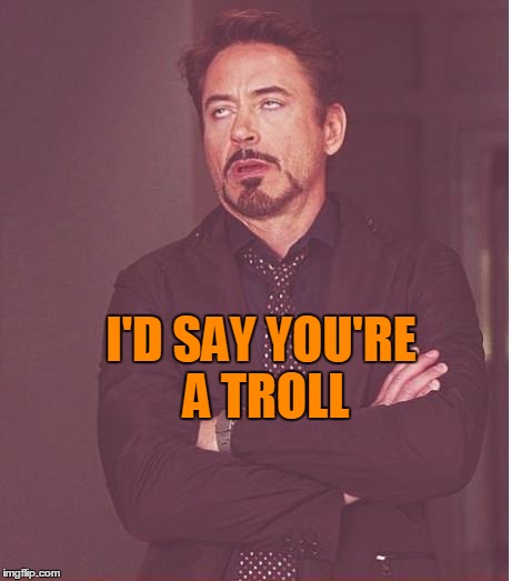 Face You Make Robert Downey Jr Meme | I'D SAY YOU'RE A TROLL | image tagged in memes,face you make robert downey jr | made w/ Imgflip meme maker