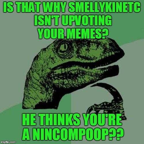 Philosoraptor Meme | IS THAT WHY SMELLYKINETC ISN'T UPVOTING YOUR MEMES? HE THINKS YOU'RE A NINCOMPOOP?? | image tagged in memes,philosoraptor | made w/ Imgflip meme maker