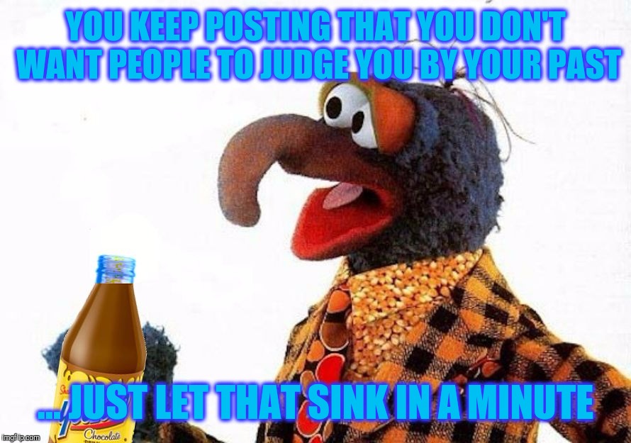 We All Know That Hoe | YOU KEEP POSTING THAT YOU DON'T WANT PEOPLE TO JUDGE YOU BY YOUR PAST; ... JUST LET THAT SINK IN A MINUTE | image tagged in gonzo,muppets,past,slut,wisdom,hoes | made w/ Imgflip meme maker