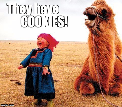 Happy Kid Camel | They have          COOKIES! | image tagged in happy kid camel | made w/ Imgflip meme maker
