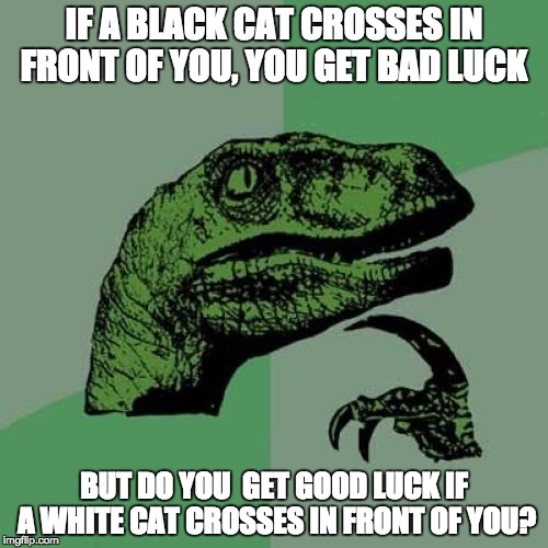 Philosoraptor Meme | IF A BLACK CAT CROSSES IN FRONT OF YOU, YOU GET BAD LUCK; BUT DO YOU  GET GOOD LUCK IF A WHITE CAT CROSSES IN FRONT OF YOU? | image tagged in memes,philosoraptor | made w/ Imgflip meme maker