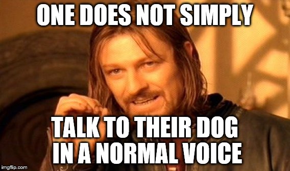 If you have then you're a god. | ONE DOES NOT SIMPLY; TALK TO THEIR DOG IN A NORMAL VOICE | image tagged in memes,one does not simply | made w/ Imgflip meme maker