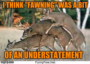 I THINK "FAWNING" WAS A BIT OF AN UNDERSTATEMENT | made w/ Imgflip meme maker