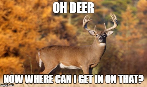 OH DEER NOW WHERE CAN I GET IN ON THAT? | made w/ Imgflip meme maker