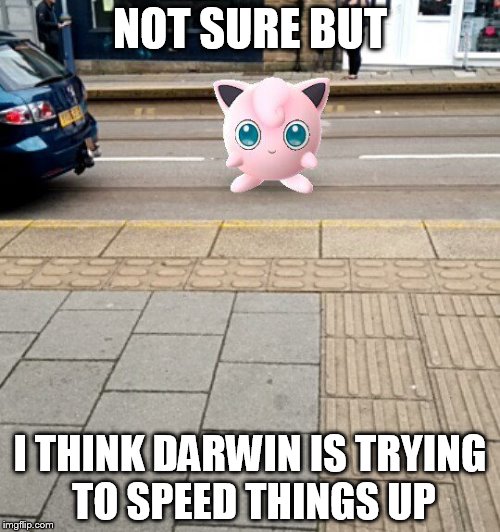 NOT SURE BUT; I THINK DARWIN IS TRYING TO SPEED THINGS UP | image tagged in pokemon go,pokemon,darwin,darwin award | made w/ Imgflip meme maker