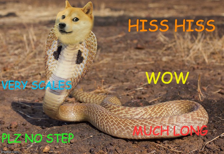 No touche the da snerk. | HISS HISS; WOW; VERY SCALES; MUCH LONG; PLZ NO STEP | image tagged in memes,doge,funny memes,snake | made w/ Imgflip meme maker