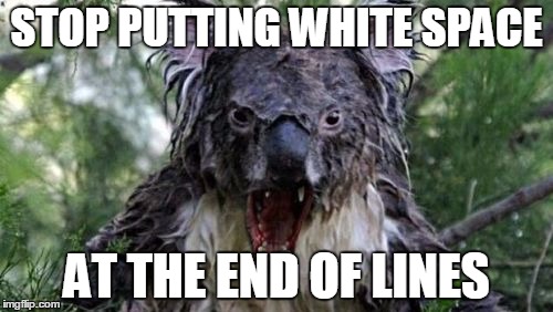 Angry Koala | STOP PUTTING WHITE SPACE; AT THE END OF LINES | image tagged in memes,angry koala | made w/ Imgflip meme maker