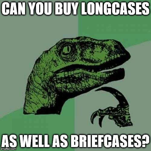 I'll be brief... | CAN YOU BUY LONGCASES; AS WELL AS BRIEFCASES? | image tagged in memes,philosoraptor,briefcase,office | made w/ Imgflip meme maker