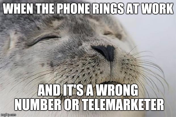 Satisfied Seal Meme | WHEN THE PHONE RINGS AT WORK; AND IT'S A WRONG NUMBER OR TELEMARKETER | image tagged in memes,satisfied seal,AdviceAnimals | made w/ Imgflip meme maker