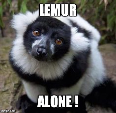 I Need A Good Cry | LEMUR; ALONE ! | image tagged in lemur | made w/ Imgflip meme maker