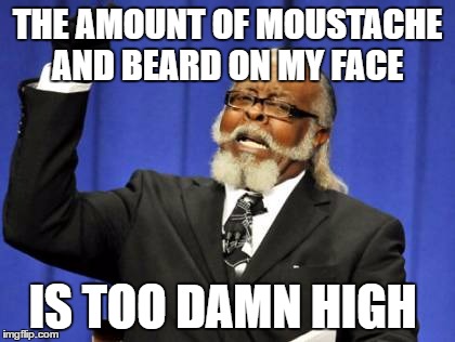 Too Damn High | THE AMOUNT OF MOUSTACHE AND BEARD ON MY FACE; IS TOO DAMN HIGH | image tagged in memes,too damn high,funny,moustache,beard,face | made w/ Imgflip meme maker