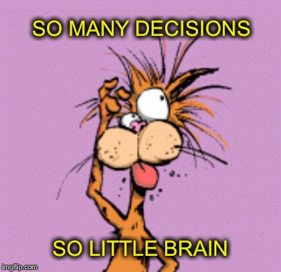 SO MANY DECISIONS; SO LITTLE BRAIN | image tagged in meme | made w/ Imgflip meme maker