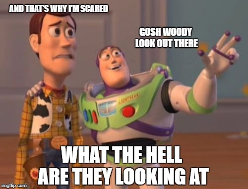 X, X Everywhere Meme | AND THAT'S WHY I'M SCARED; GOSH WOODY LOOK OUT THERE; WHAT THE HELL ARE THEY LOOKING AT | image tagged in memes,x x everywhere | made w/ Imgflip meme maker
