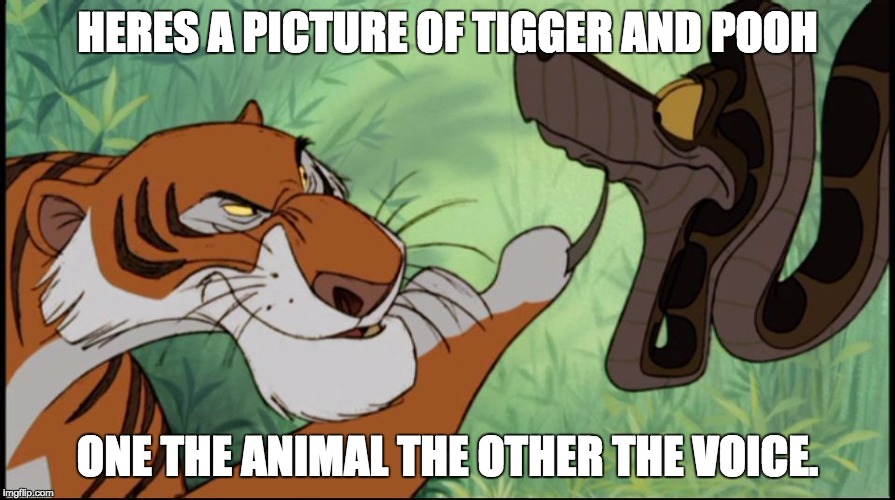 Shere Khan & Kaa | HERES A PICTURE OF TIGGER AND POOH; ONE THE ANIMAL THE OTHER THE VOICE. | image tagged in shere khan  kaa | made w/ Imgflip meme maker