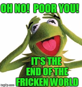 OH NO!  POOR YOU! IT'S THE END OF THE FRICKEN WORLD | image tagged in scared kermit | made w/ Imgflip meme maker