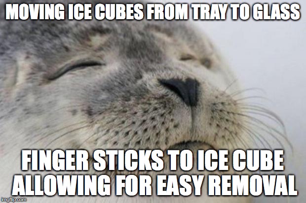 Happy Seal | MOVING ICE CUBES FROM TRAY TO GLASS; FINGER STICKS TO ICE CUBE ALLOWING FOR EASY REMOVAL | image tagged in happy seal,AdviceAnimals | made w/ Imgflip meme maker