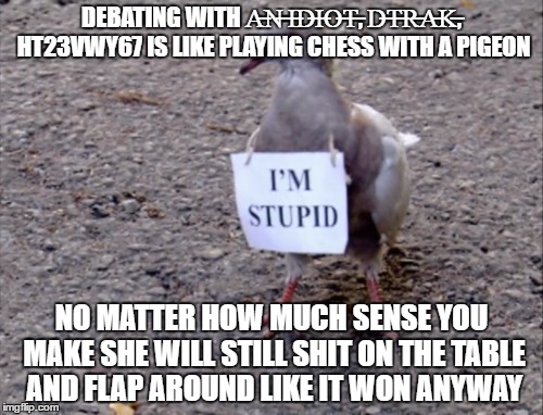 DEBATING WITH A̶N̶ ̶I̶D̶I̶O̶T̶, D̶T̶R̶A̶K̶, HT23VWY67 IS LIKE PLAYING CHESS WITH A PIGEON; NO MATTER HOW MUCH SENSE YOU MAKE SHE WILL STILL SHIT ON THE TABLE AND FLAP AROUND LIKE IT WON ANYWAY | made w/ Imgflip meme maker