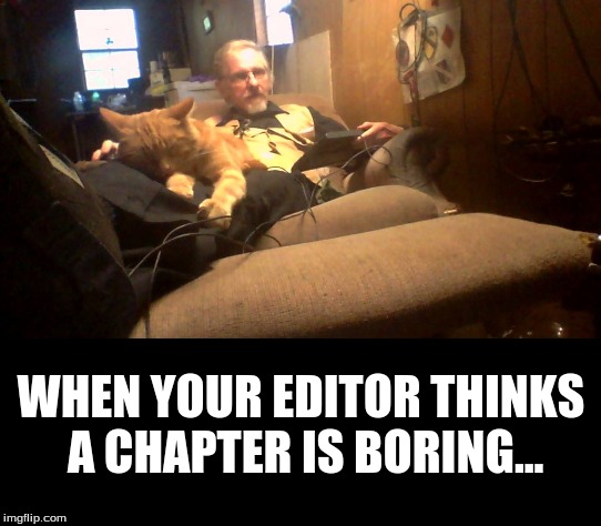 WHEN YOUR EDITOR THINKS A CHAPTER IS BORING... | image tagged in books | made w/ Imgflip meme maker