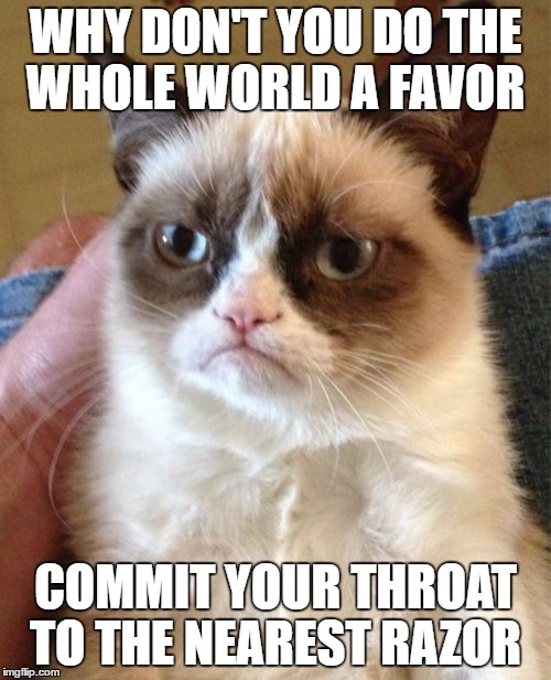 Grumpy Cat Meme | WHY DON'T YOU DO THE WHOLE WORLD A FAVOR; COMMIT YOUR THROAT TO THE NEAREST RAZOR | image tagged in memes,grumpy cat | made w/ Imgflip meme maker