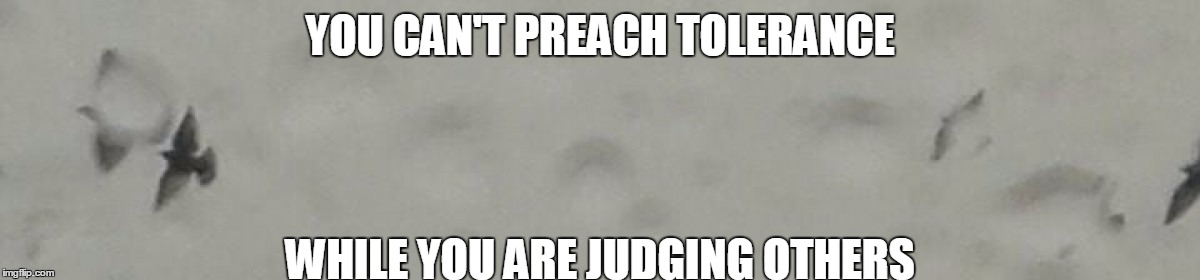 Tolerance | YOU CAN'T PREACH TOLERANCE; WHILE YOU ARE JUDGING OTHERS | image tagged in tolerance,hypocrite,preach,judge | made w/ Imgflip meme maker