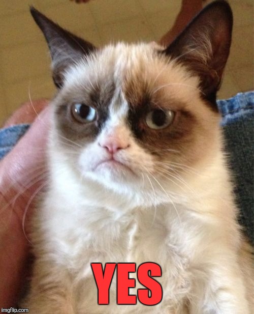 Grumpy Cat Meme | YES | image tagged in memes,grumpy cat | made w/ Imgflip meme maker