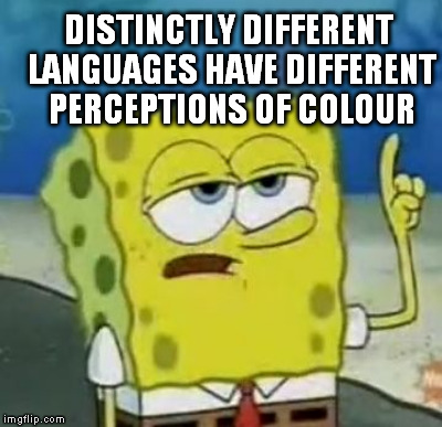 DISTINCTLY DIFFERENT LANGUAGES HAVE DIFFERENT PERCEPTIONS OF COLOUR | made w/ Imgflip meme maker