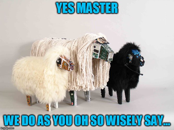 YES MASTER WE DO AS YOU OH SO WISELY SAY... | made w/ Imgflip meme maker