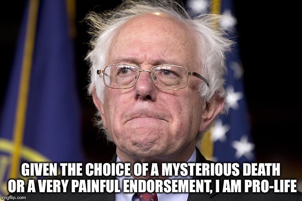 GIVEN THE CHOICE OF A MYSTERIOUS DEATH OR A VERY PAINFUL ENDORSEMENT, I AM PRO-LIFE | made w/ Imgflip meme maker