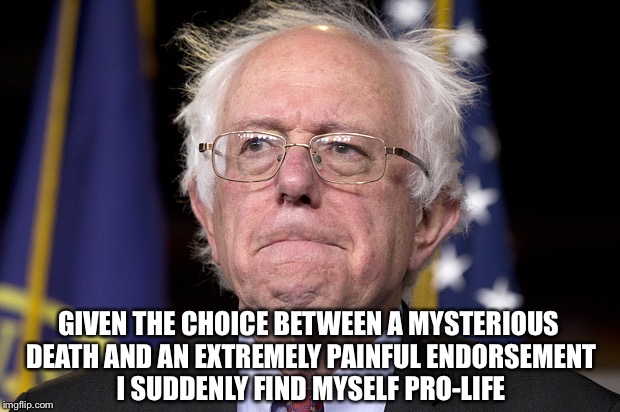 I'm sure it was a difficult choice |  GIVEN THE CHOICE BETWEEN A MYSTERIOUS DEATH AND AN EXTREMELY PAINFUL ENDORSEMENT I SUDDENLY FIND MYSELF PRO-LIFE | image tagged in bernie sanders,memes,funny,hillary,endorsement,election 2016 | made w/ Imgflip meme maker